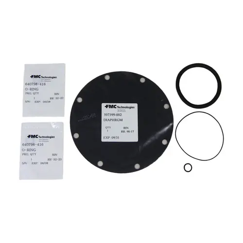 Smith 210 Control Valve 2 in. Diaphragm and O-Ring Repair Kit