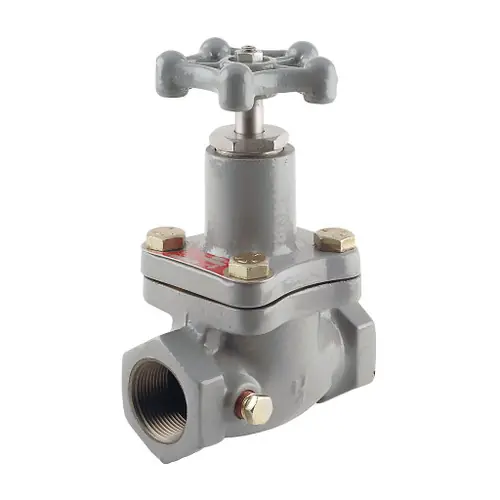 Emerson Fisher N810 Series Globe Valve w/ TFE Trim