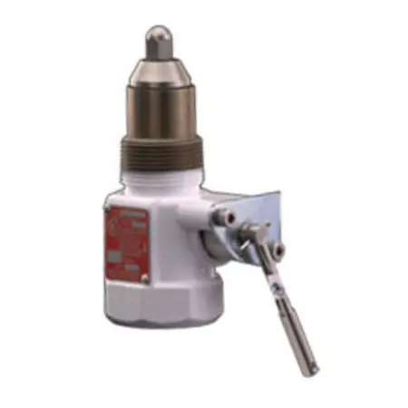 Emerson Fisher C407-10 Series 1 1/4 in. MNPT x FNPT WCC Steel Internal Valve, Straight-Thru Body