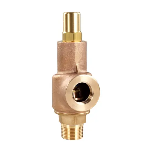 Aquatrol 69 Series 2 1/2 in. MNPT x FNPT Brass Liquid Relief Valve, Closed Cap