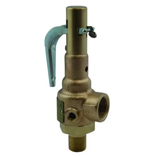 Apollo Valves 19LEEK000 1 in. MNPT x 1 in. FNPT Sec VIII Air Bronze Safety Relief Valve w/ Stainless Trim, Teflon Seat