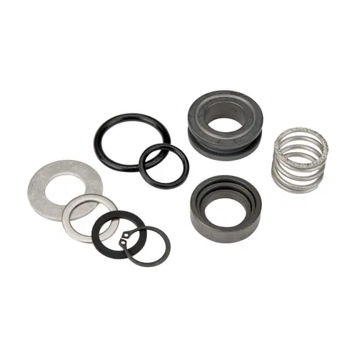 GPI 133503-05 Extreme Temperature Shaft Seal Kit for PRO25-012 Pumps, Item C; 18, 19, 21