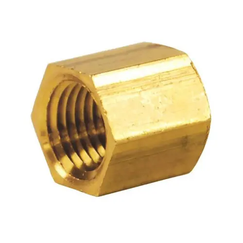Dixon Brass 1/4 in. Female NPT Brass Pipe Cap