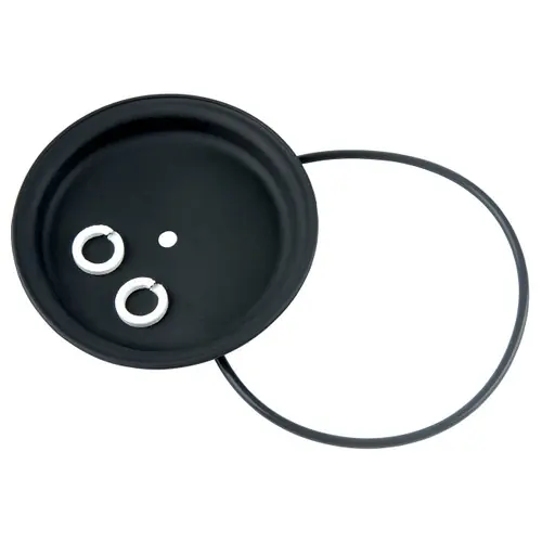 GPI 13850101 Diaphragm & Seal Kit