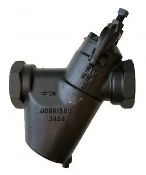 Morrison Bros. 286 Series 2 in. Top Clean-Out Strainers - 6 to 100 Mesh