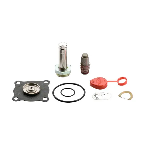 ASCO Solenoid Valve Rebuild Kits - 323989 - FKM