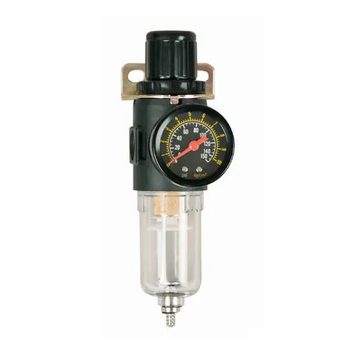 Lubeworks AFR Series 1/4 in. FNPT Air Filter & Regulator w/ Pressure Gauge