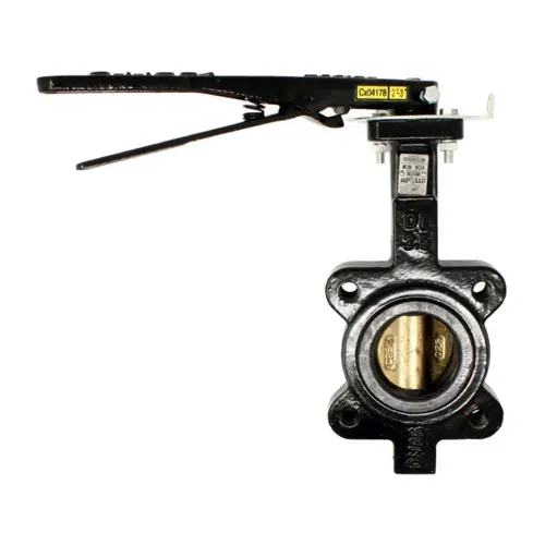 Apollo LC141 Series 2 1/2 in. 150# Flange Ductile Iron Butterfly Valve, Lug Style, 10 Pos. Handle