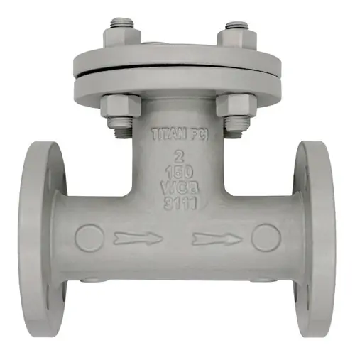 Titan Flow Control 2 in. Flange End Carbon Steel Tee Type Strainer