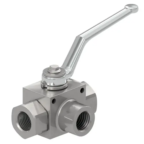 Gemels GE3L Ball Valve Long 1/4 in. NPT DN6 1111AB 7250 PSI