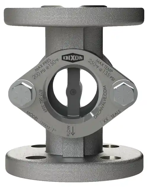 Dixon Series 15 Sight Flow Indicator 3/4 in. #150 TTMA Flange FKM Seal Ryton Flapper