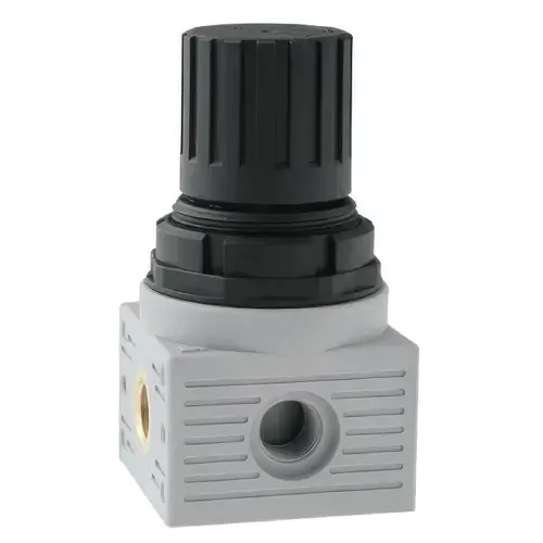 AIGNEP N020002030000, 1/8 in. Mini Regulator, 0-8 Bar, NPTF