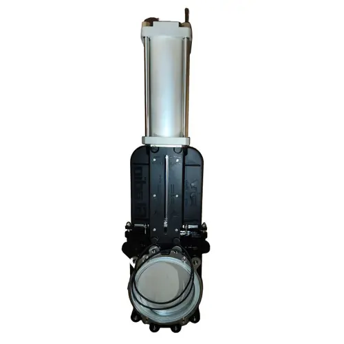 RIV Gladio 12 in. Knife Gate Valve W/ Air Cylinder