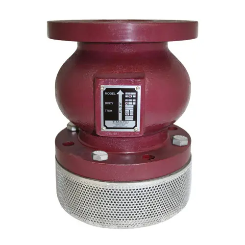 Titan Flow Control FV50DI0300 3 in. Foot Valve Assembly, Ductile Iron