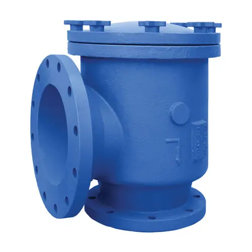 Titan Flow Control SD22I8X6 8 in. x 6 in. Suction Diffuser, Flanged, Cast Iron