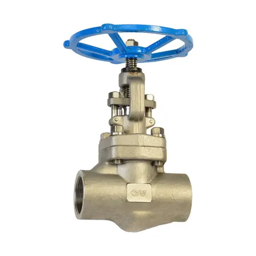 Chicago Valves 286SW010 1 in. Stainless Steel Gate Valve - Socketweld, Class 800 1975 PSI