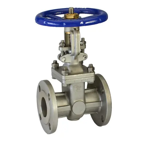 Chicago Valves 21631030 3 in. Stainless Steel Gate Valve - Flanged, Class 300, 740 PSI
