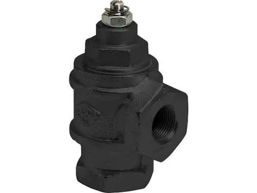 Franklin Fueling Systems 1 in. NPT Anti-Siphon Valve for Above Ground Tank, AGB Compatible