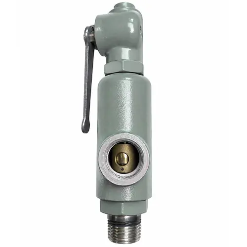 Kunkle 0264P-E01-PG0100 Carbon Steel Pressure Relief Valve Metal Seats 100 PSI w/ Lift Lever