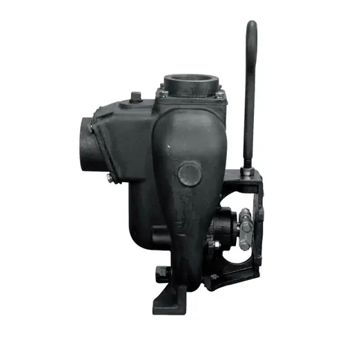 TerreMax 200POI 2 in. cast Iron Pump Only w/ 3/4 in. Shaft Sleeve