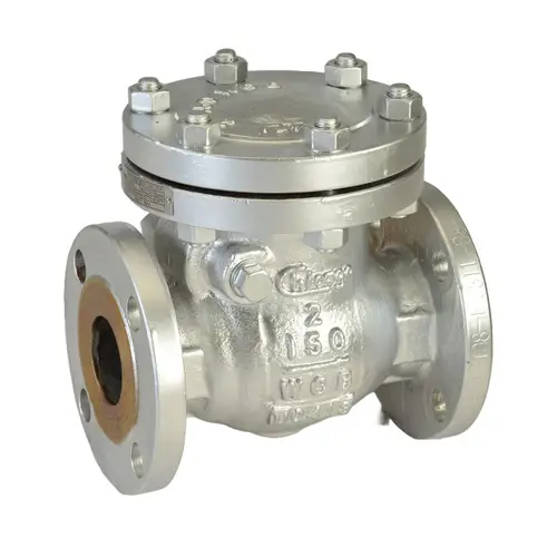 Chicago Valves 41611006 3/4 in. Stainless Steel Swing Check Valve - Flanged, Class 150, 285 PSI