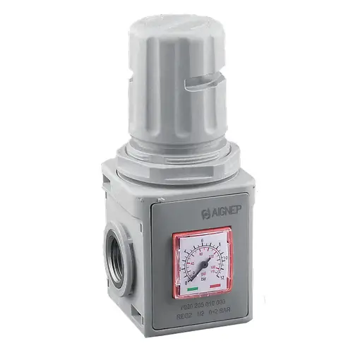 AIGNEP N020205040000, 1/2 in. NPT FRL2 Regulator, 174 PSI