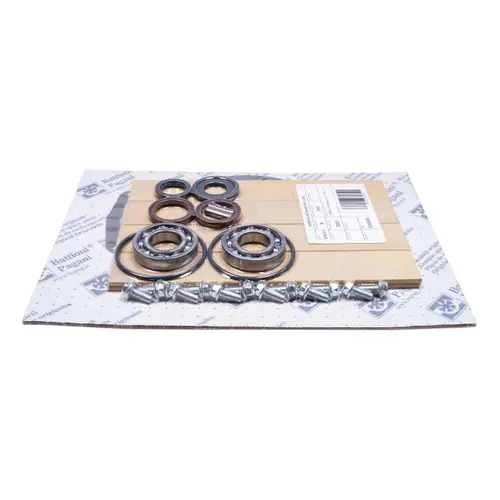 Chandler Equipment Battioni BAT-6010201055 Complete Rebuild Kit - BALLAST 11000, Type P