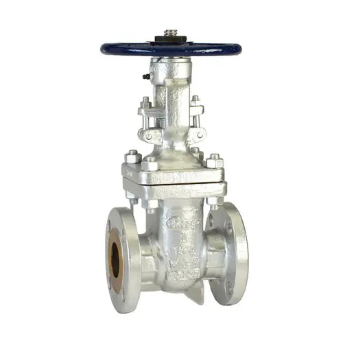 Chicago Valves 21411040 4 in. Cast Steel Gate Valve - Flanged, Class 150, 285 PSI